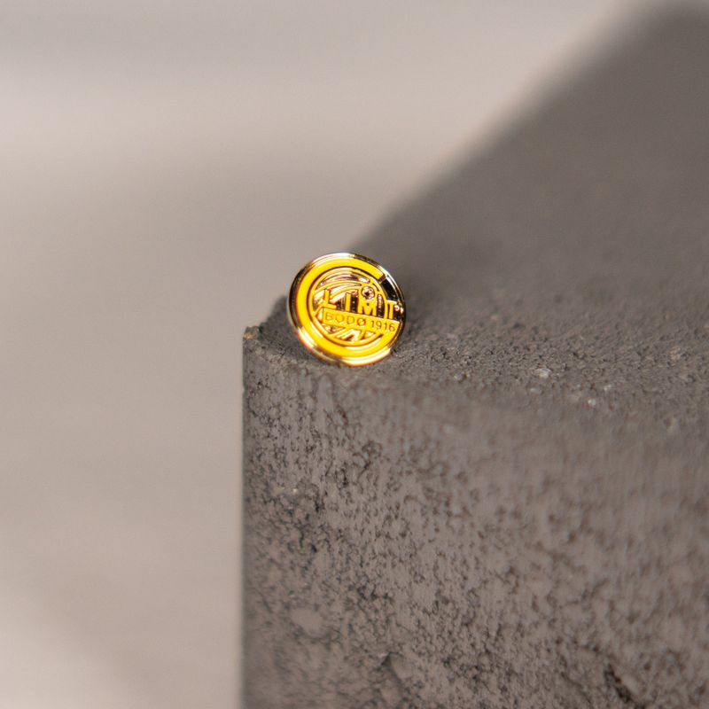 Logo Pin